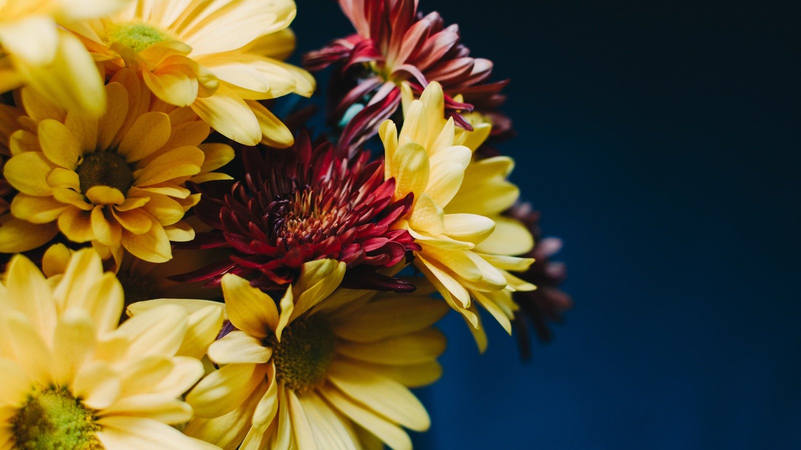 Обои цветы, букет, герберы, flowers, bouquet, gerbera разрешение 3000x1987 Загрузить