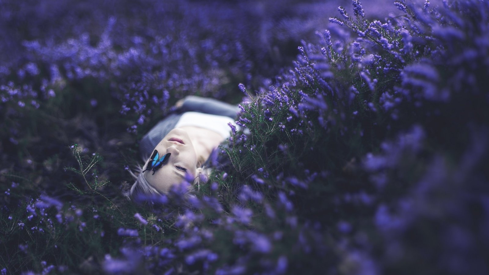 Обои цветы, девушка, настроение, бабочка, лицо, лежа, kindra nikole, flowers, girl, mood, butterfly, face, lying, delana nikole разрешение 2048x1208 Загрузить