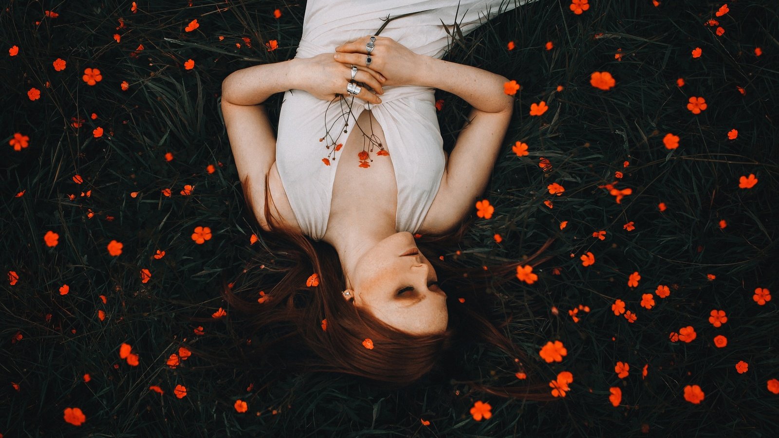 Обои цветы, девушка, настроение, рыжая, рыжеволосая, flowers, girl, mood, red, redhead разрешение 2048x1366 Загрузить