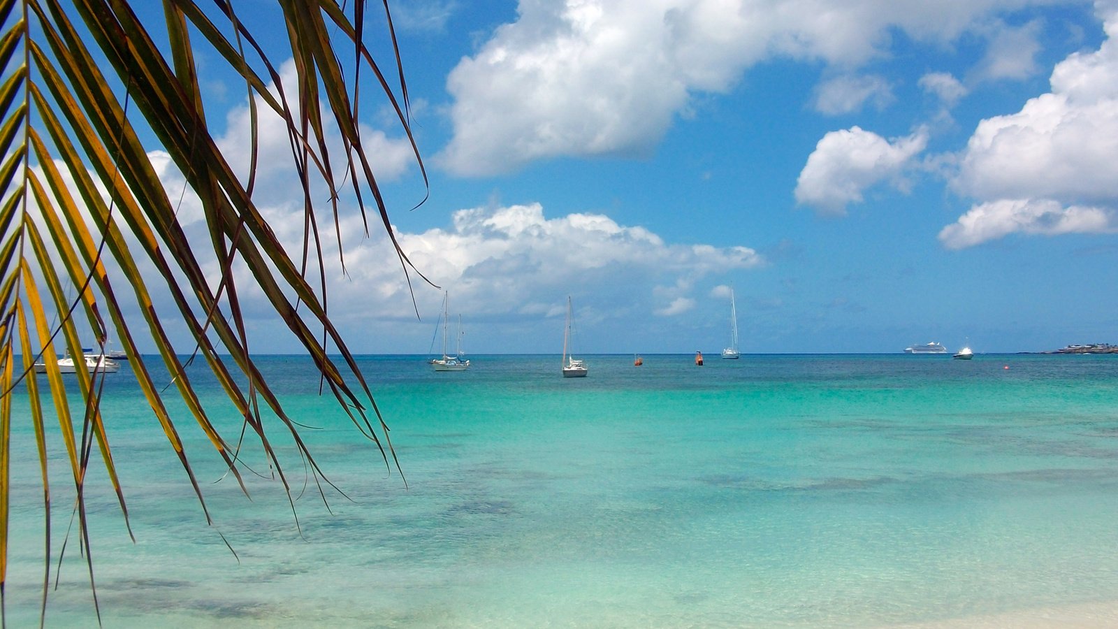 Обои море, пляж, яхты, тропики, sea, beach, yachts, tropics разрешение 3254x2433 Загрузить