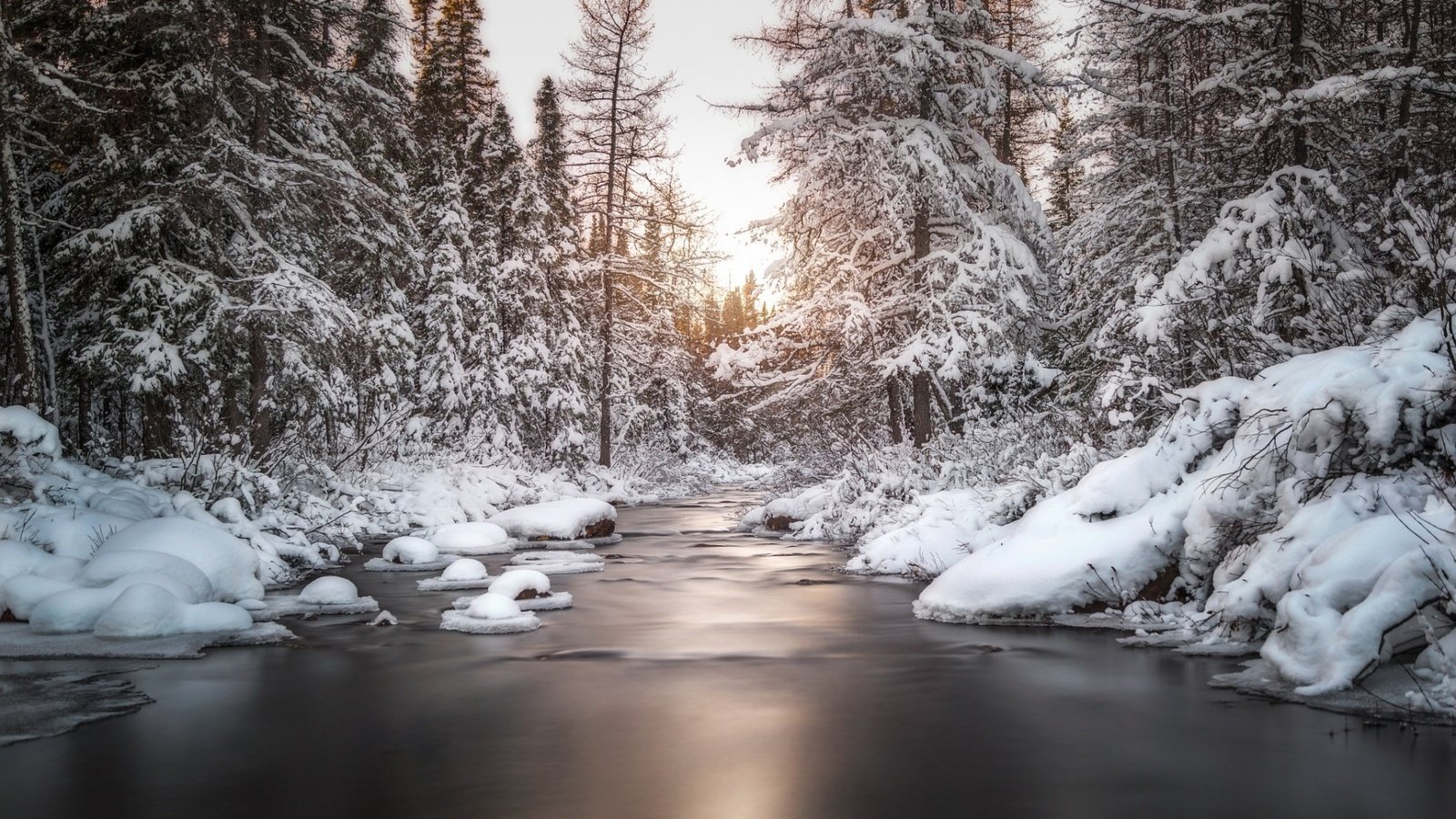 Обои деревья, река, снег, природа, лес, зима, trees, river, snow, nature, forest, winter разрешение 1920x1080 Загрузить