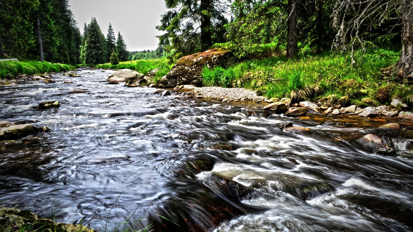 Обои вода, река, природа, лес, пейзаж, ручей, поток, water, river, nature, forest, landscape, stream разрешение 4928x3264 Загрузить