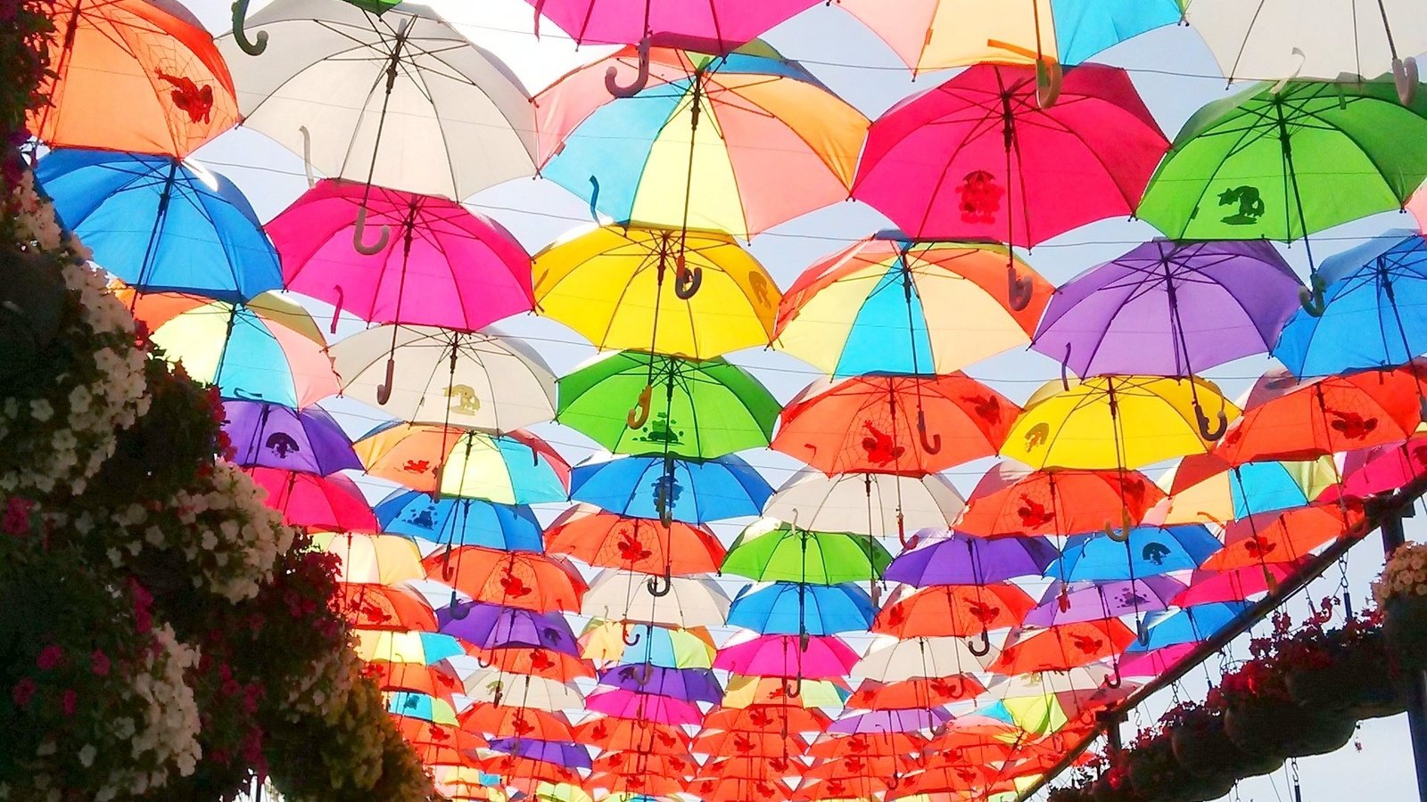 Обои цветы, парк, разноцветные, город, зонтик, зонты, дубай, зонтики, flowers, park, colorful, the city, umbrella, umbrellas, dubai разрешение 1920x1775 Загрузить