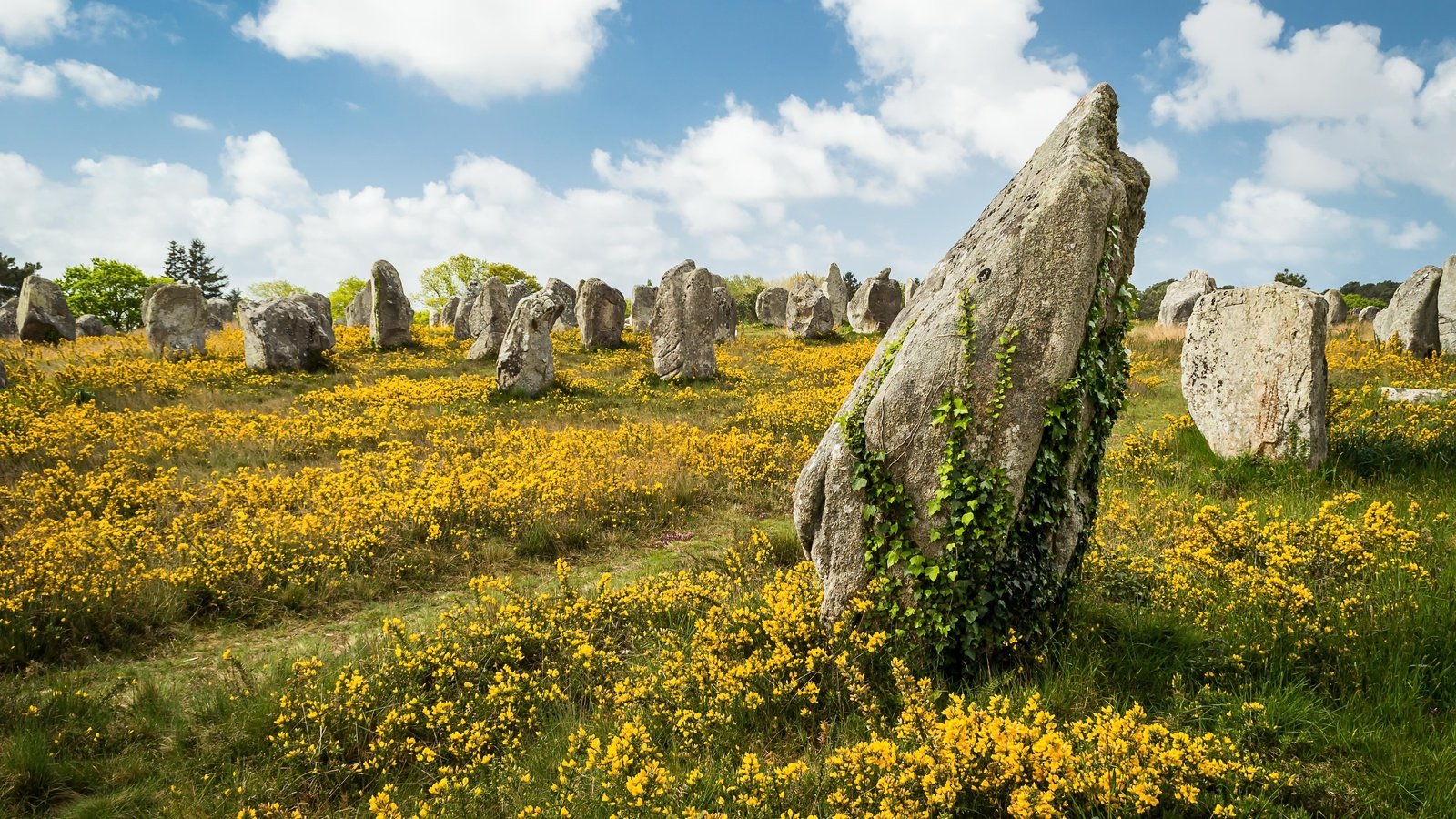 Обои небо, цветы, облака, камни, лето, the sky, flowers, clouds, stones, summer разрешение 5000x3571 Загрузить