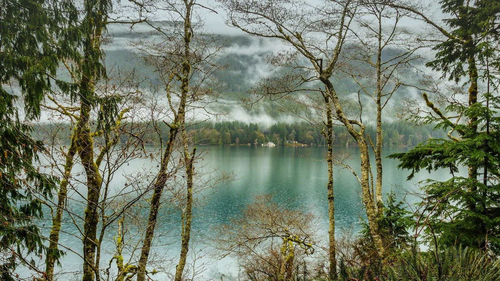 Обои деревья, озеро, лес, туман, сша, olympic national park, lake crescent, национальный парк олимпик, trees, lake, forest, fog, usa разрешение 2200x1425 Загрузить