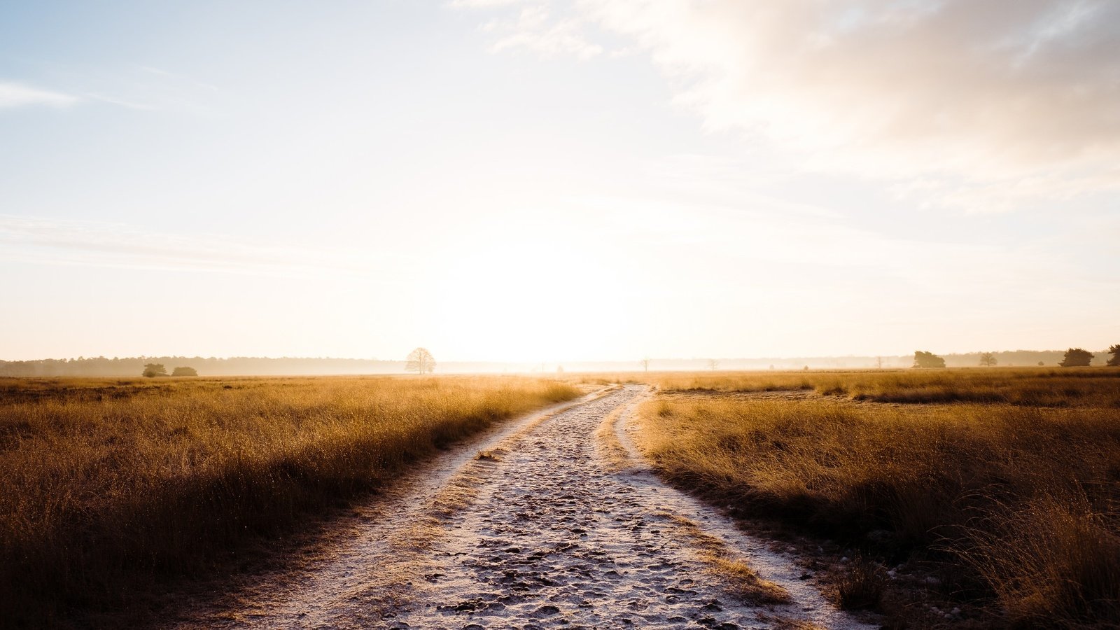 Обои небо, дорога, трава, облака, утро, туман, поле, robert-paul jansen, the sky, road, grass, clouds, morning, fog, field разрешение 2048x1365 Загрузить