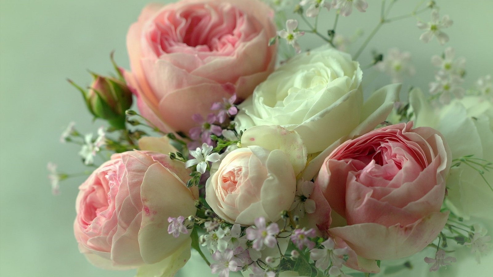 Обои цветы, фон, розы, лепестки, букет, sonata zemgulienе, flowers, background, roses, petals, bouquet разрешение 1920x1279 Загрузить