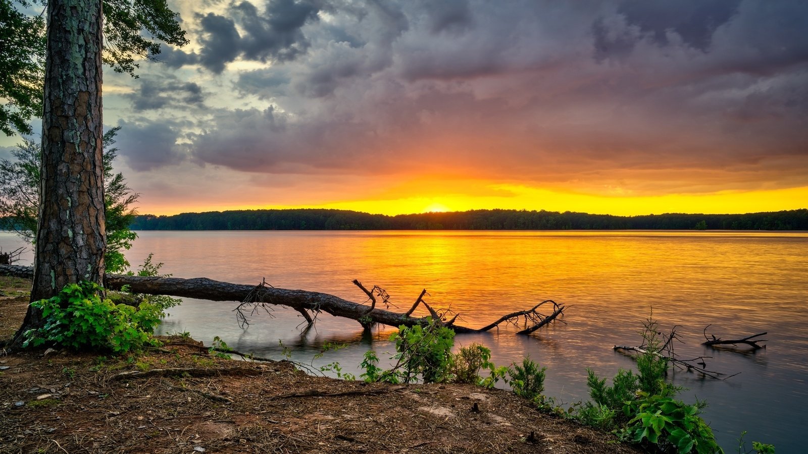 Обои небо, west point lake, деревья, река, лес, тучи, рассвет, сша, грузия, the sky, trees, river, forest, clouds, dawn, usa, georgia разрешение 1920x1200 Загрузить