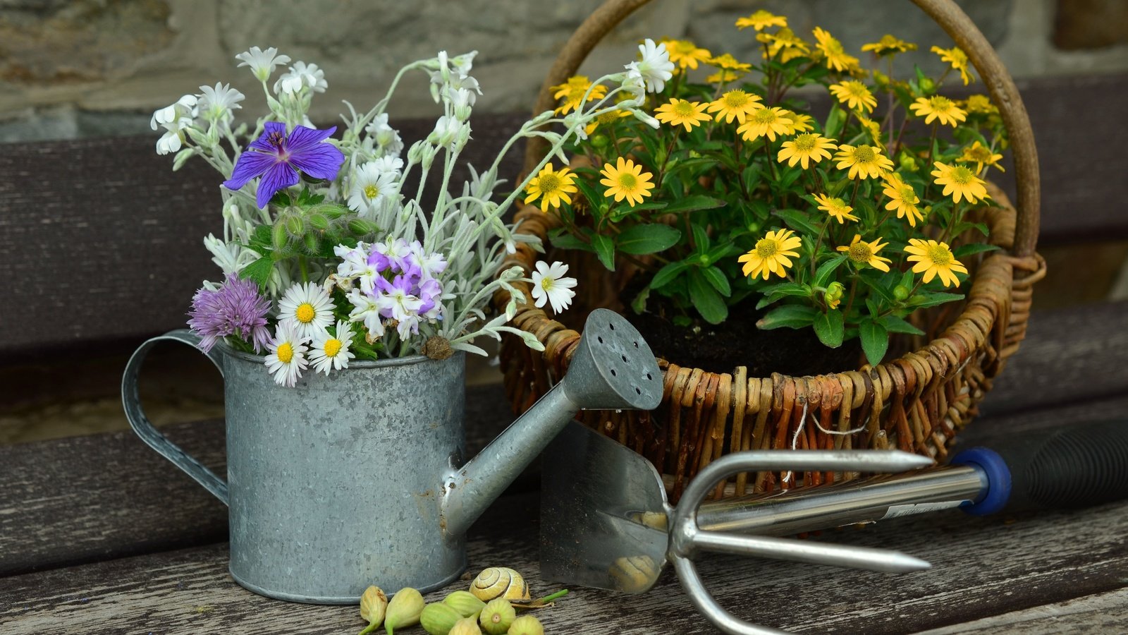 Обои цветы, букет, корзина, полевые цветы, натюрморт, лейка, flowers, bouquet, basket, wildflowers, still life, lake разрешение 4654x3059 Загрузить