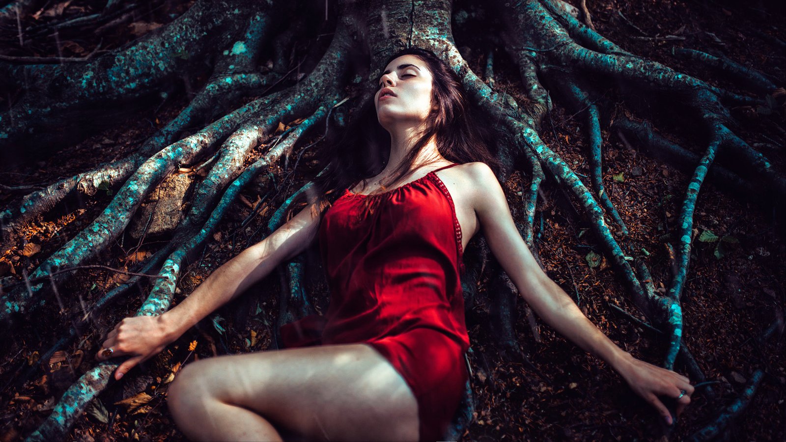 Обои дерево, лес, девушка, платье, сон, корни, отдых, tree, forest, girl, dress, sleep, roots, stay разрешение 2000x1125 Загрузить