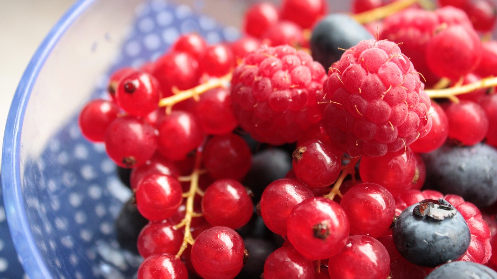 Обои малина, ягоды, черника, красная смородина, смородина, raspberry, berries, blueberries, red currant, currants разрешение 4272x2848 Загрузить