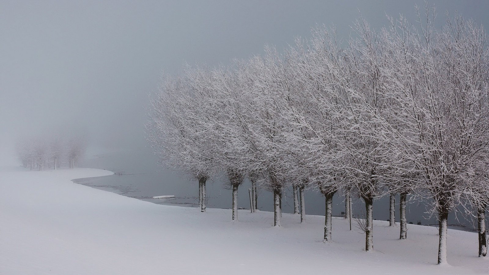 Обои деревья, озеро, снег, зима, иней, лёд, trees, lake, snow, winter, frost, ice разрешение 1920x1080 Загрузить