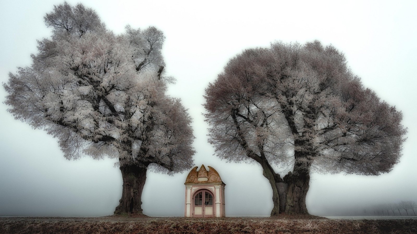Обои деревья, природа, туман, часовня, trees, nature, fog, chapel разрешение 2048x1274 Загрузить