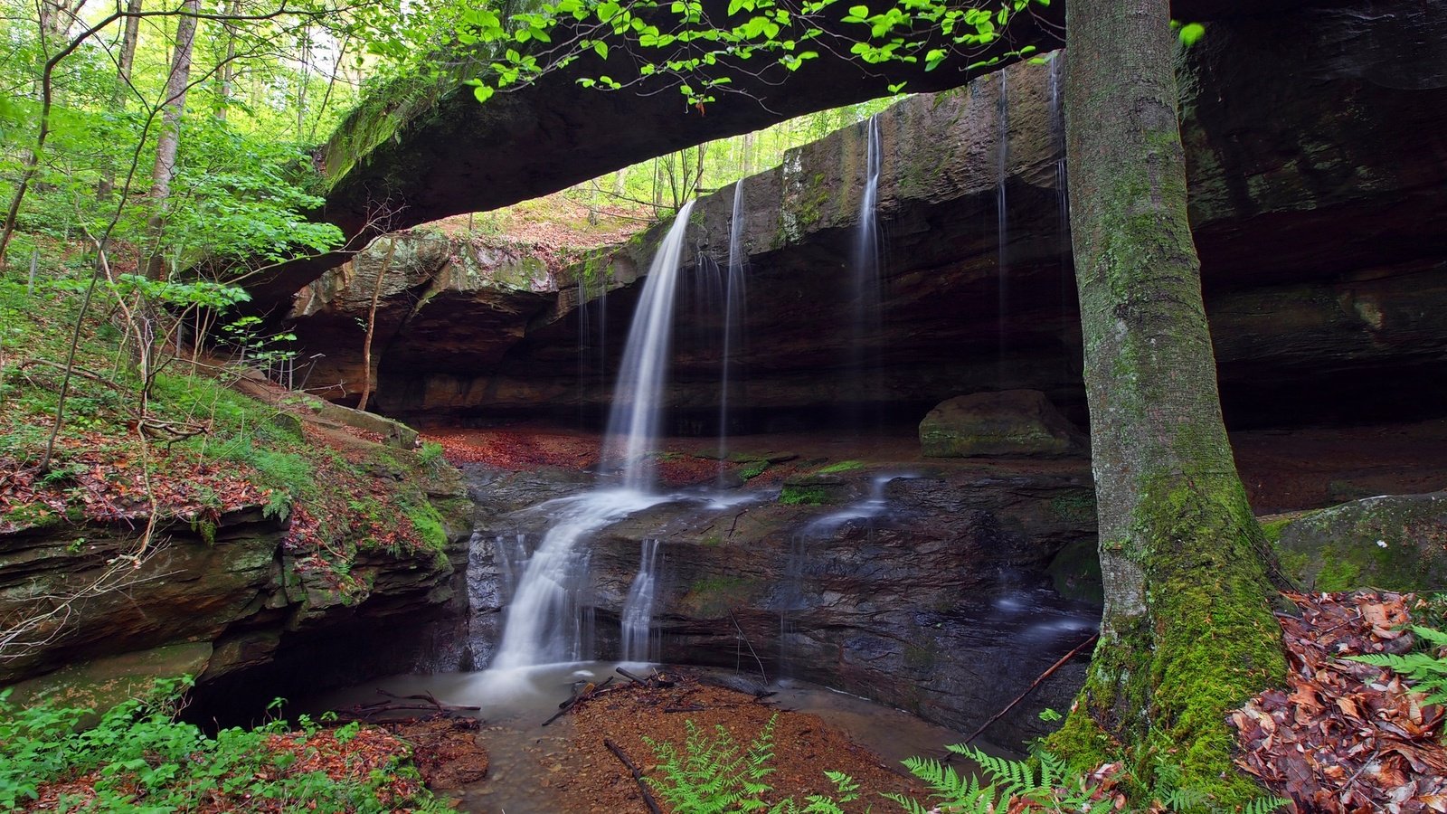 Обои деревья, скалы, водопад, поток, огайо, сша, trees, rocks, waterfall, stream, ohio, usa разрешение 2048x1419 Загрузить