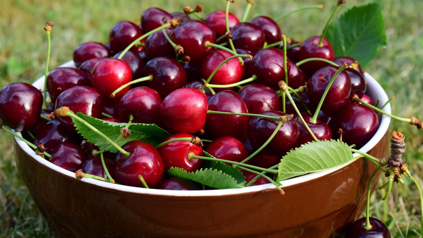 Обои листья, черешня, ягоды, вишня, чашка, миска, leaves, cherry, berries, cup, bowl разрешение 5184x2916 Загрузить