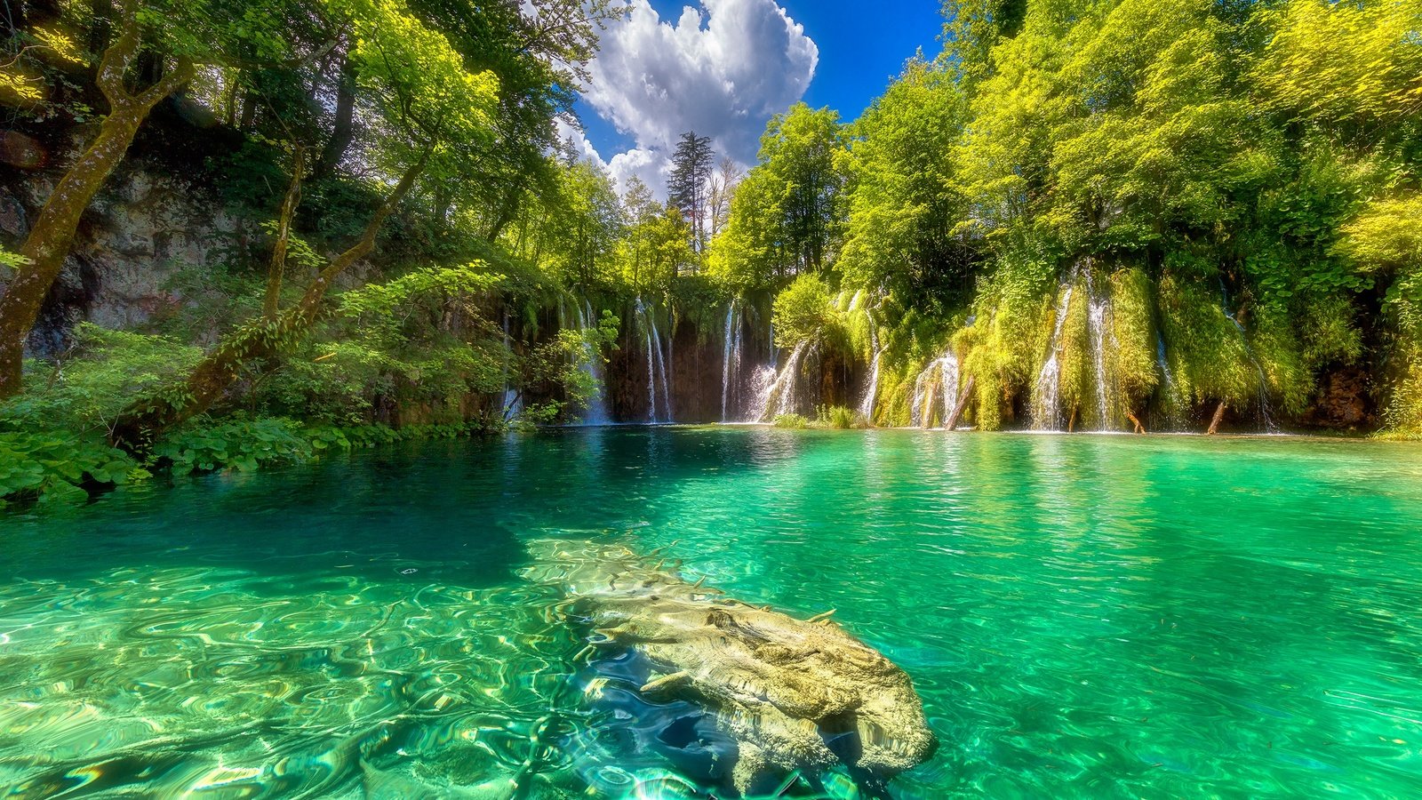 Обои небо, хорватия, облака, плитвицкие озёра, деревья, plitvice lakes national park, озеро, солнце, зелень, лес, водопад, the sky, croatia, clouds, plitvice lakes, trees, lake, the sun, greens, forest, waterfall разрешение 2500x1667 Загрузить