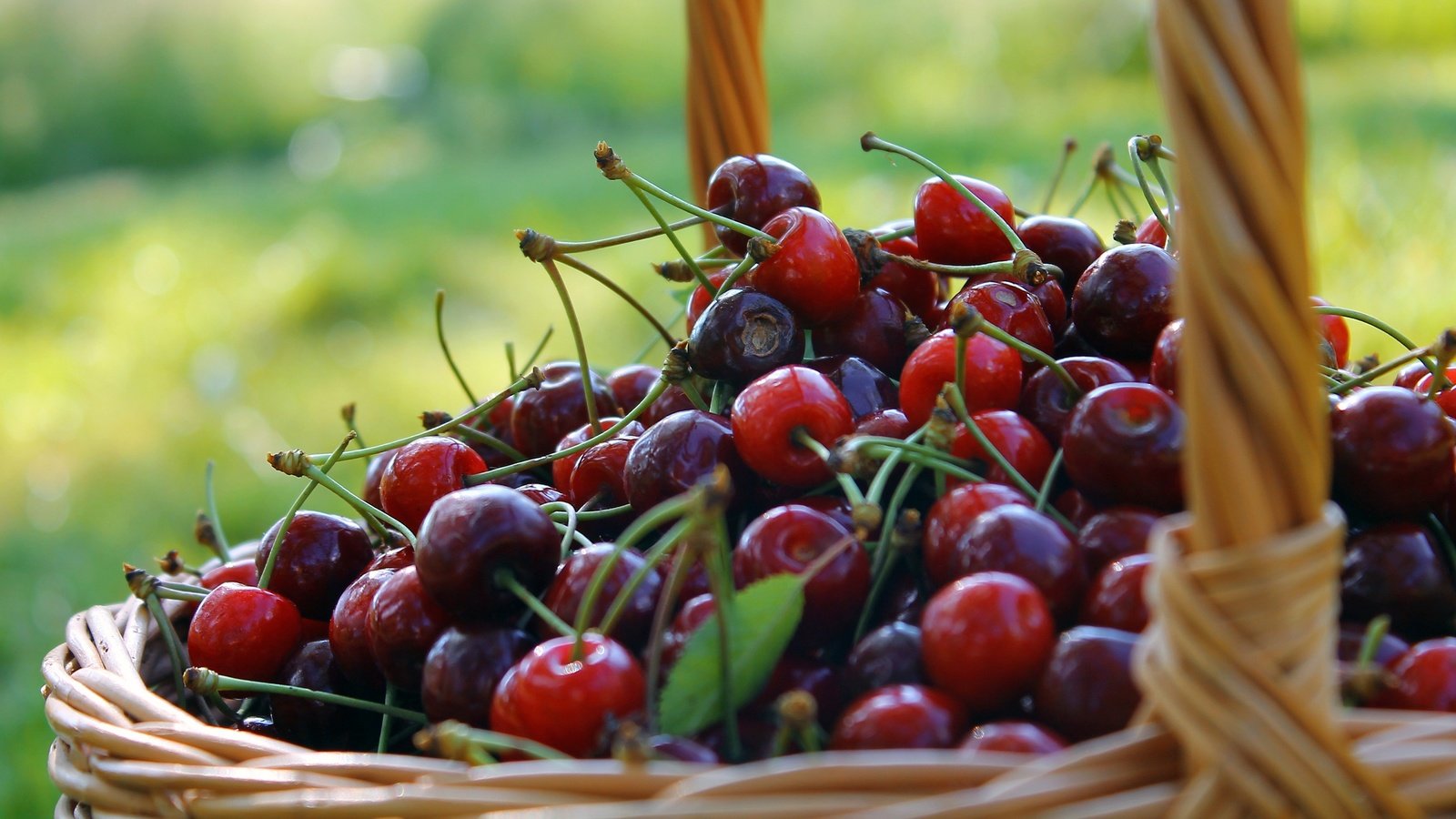 Обои фон, черешня, ягоды, вишня, корзинка, лукошко, background, cherry, berries, basket разрешение 3272x1841 Загрузить