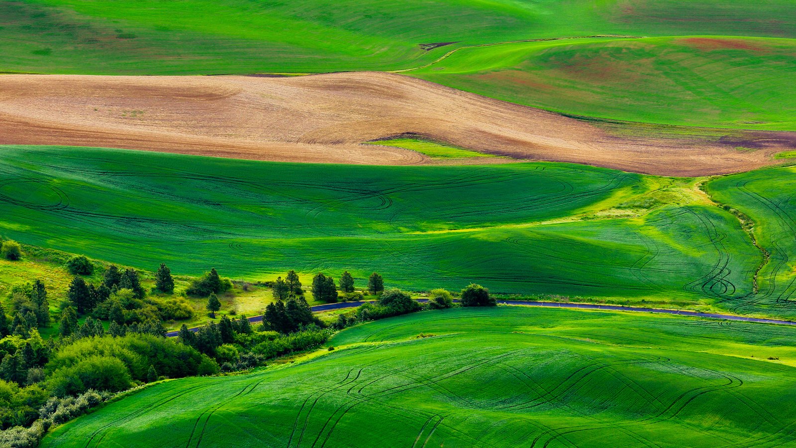 Обои трава, деревья, холмы, пейзаж, поля, grass, trees, hills, landscape, field разрешение 2880x1920 Загрузить