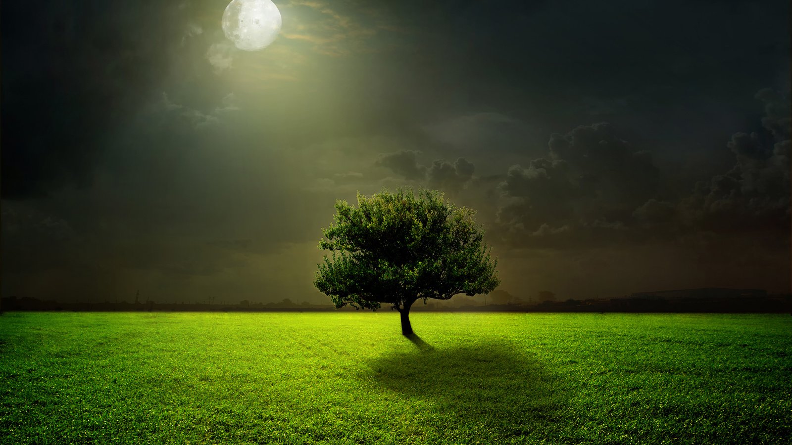 Обои свет, трава, дерево, пейзаж, поле, луна, полнолуние, light, grass, tree, landscape, field, the moon, the full moon разрешение 4000x3757 Загрузить