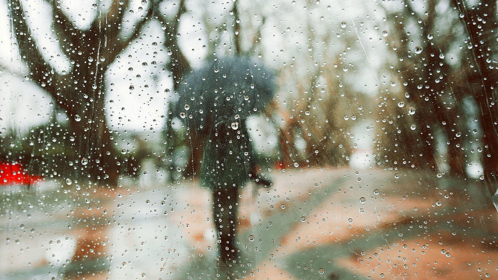 Обои деревья, девушка, капли, модель, дождь, зонт, rainy days, luis valadares, trees, girl, drops, model, rain, umbrella разрешение 1920x1280 Загрузить