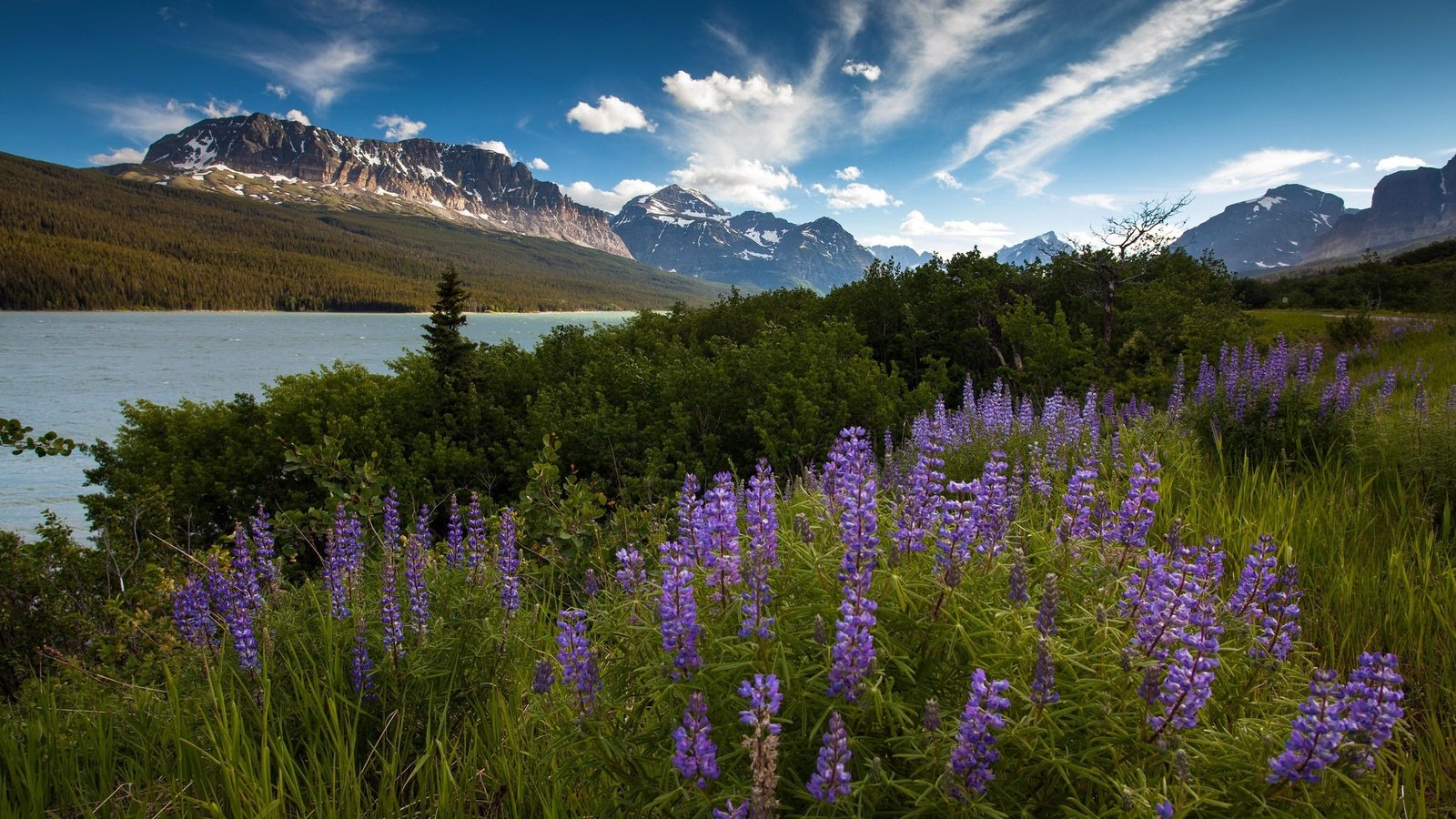 Обои небо, цветы, облака, река, горы, утро, лето, the sky, flowers, clouds, river, mountains, morning, summer разрешение 2048x1365 Загрузить