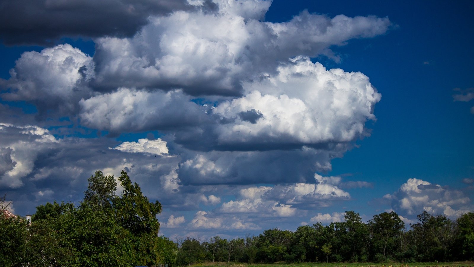 Обои небо, облака, деревья, природа, the sky, clouds, trees, nature разрешение 2140x1427 Загрузить