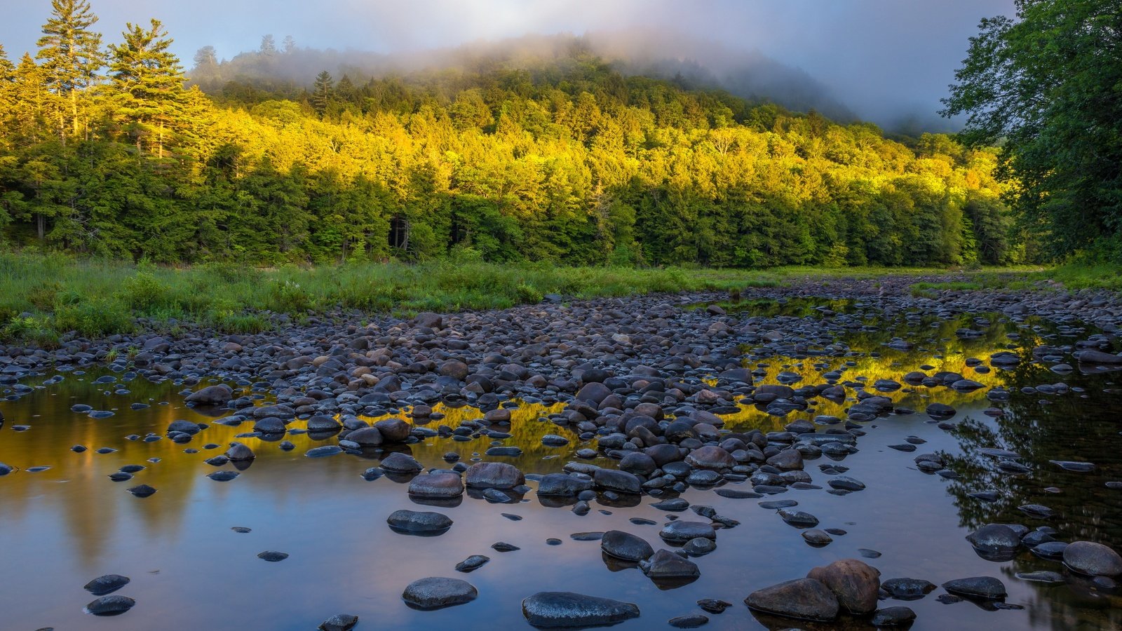 Обои деревья, река, природа, камни, лес, утро, туман, trees, river, nature, stones, forest, morning, fog разрешение 2560x1707 Загрузить