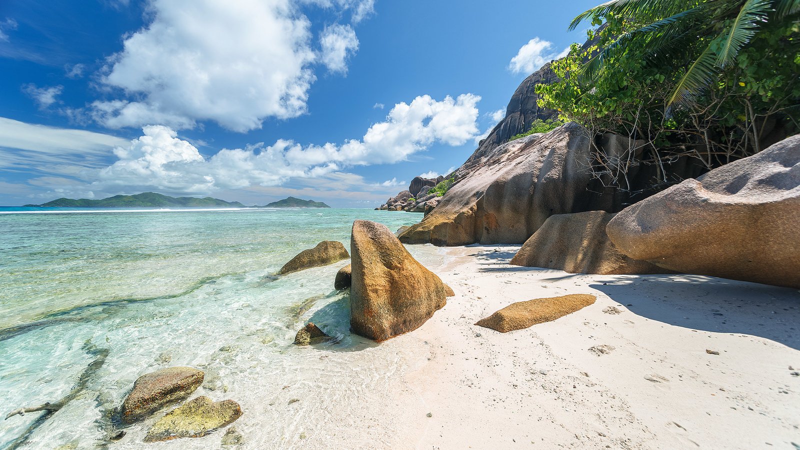 Обои вода, камни, море, песок, побережье, пальмы, water, stones, sea, sand, coast, palm trees разрешение 2048x1262 Загрузить