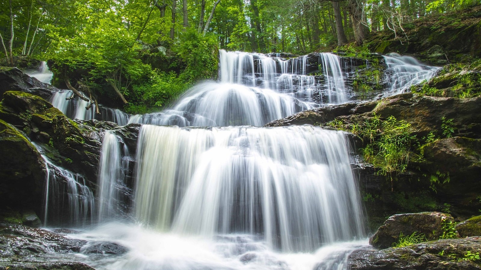 Обои вода, камни, зелень, водопад, каскад, water, stones, greens, waterfall, cascade разрешение 3600x2400 Загрузить