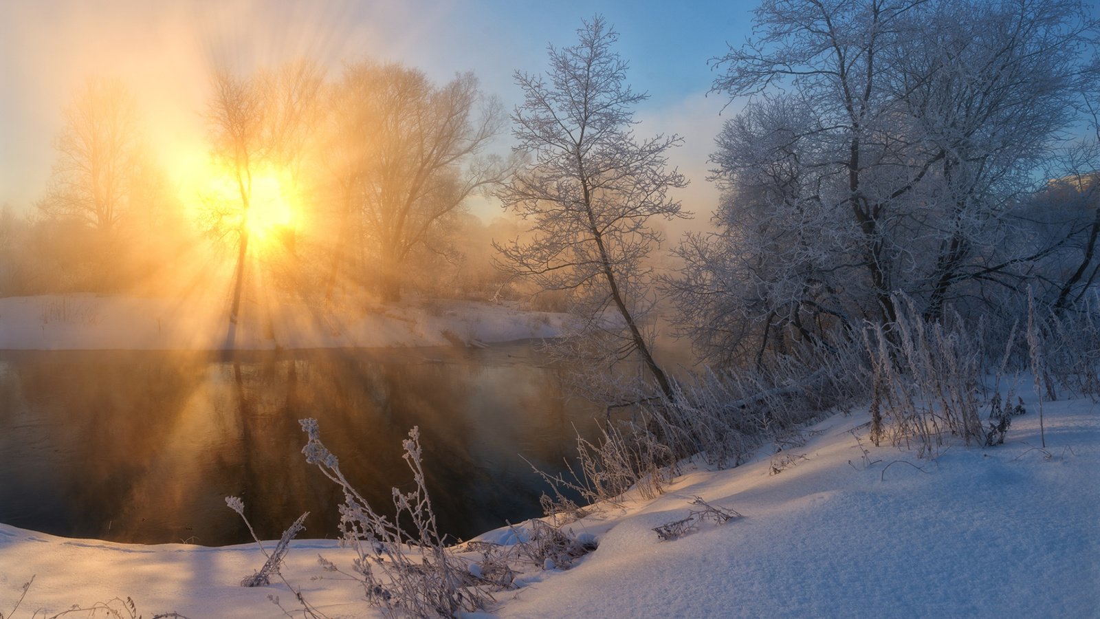 Обои солнце, снег, природа, лес, зима, утро, zhmak evgeniy, the sun, snow, nature, forest, winter, morning разрешение 1920x1200 Загрузить