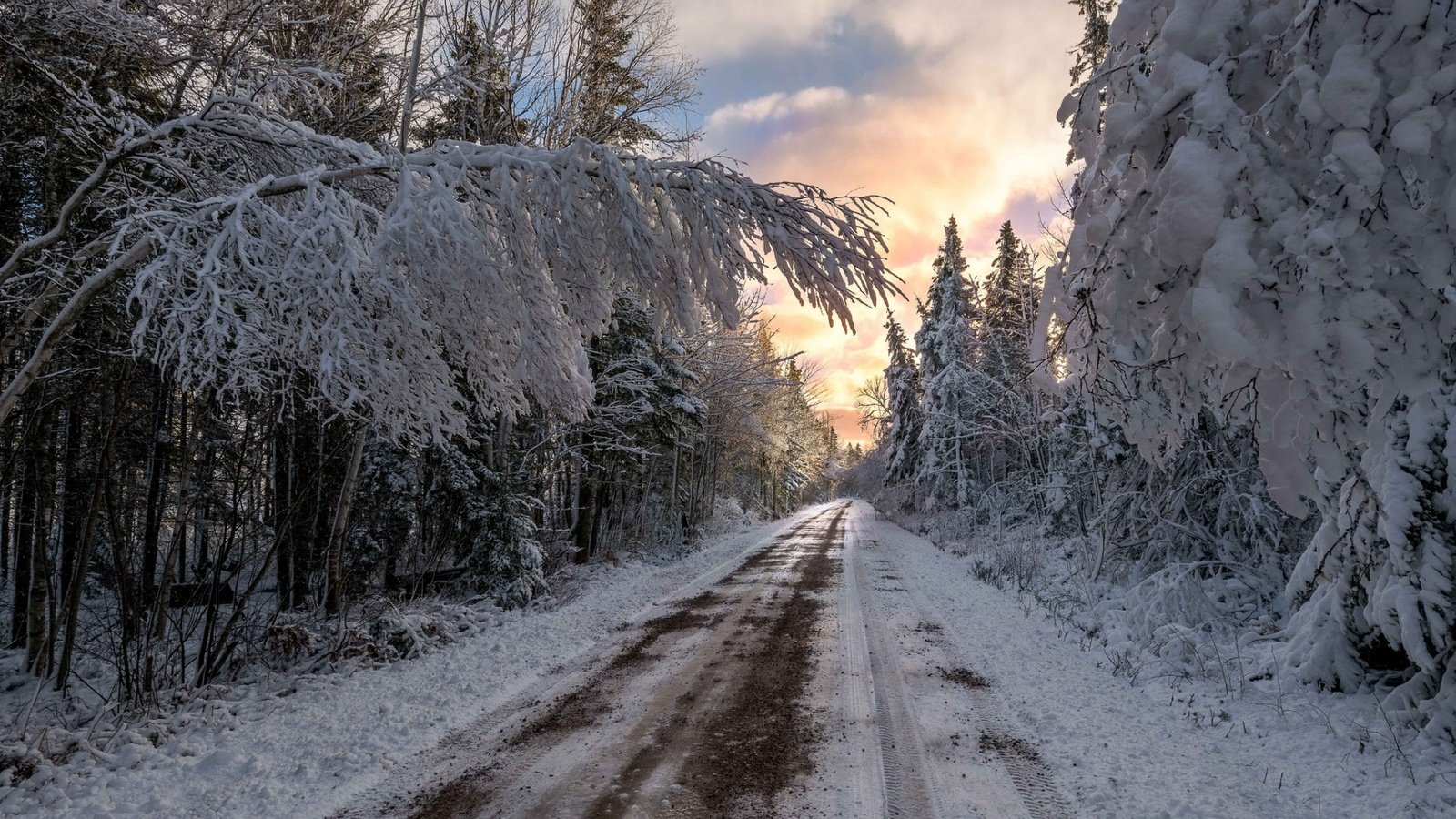 Обои дорога, облака, деревья, снег, природа, лес, зима, ветки, road, clouds, trees, snow, nature, forest, winter, branches разрешение 1920x1200 Загрузить