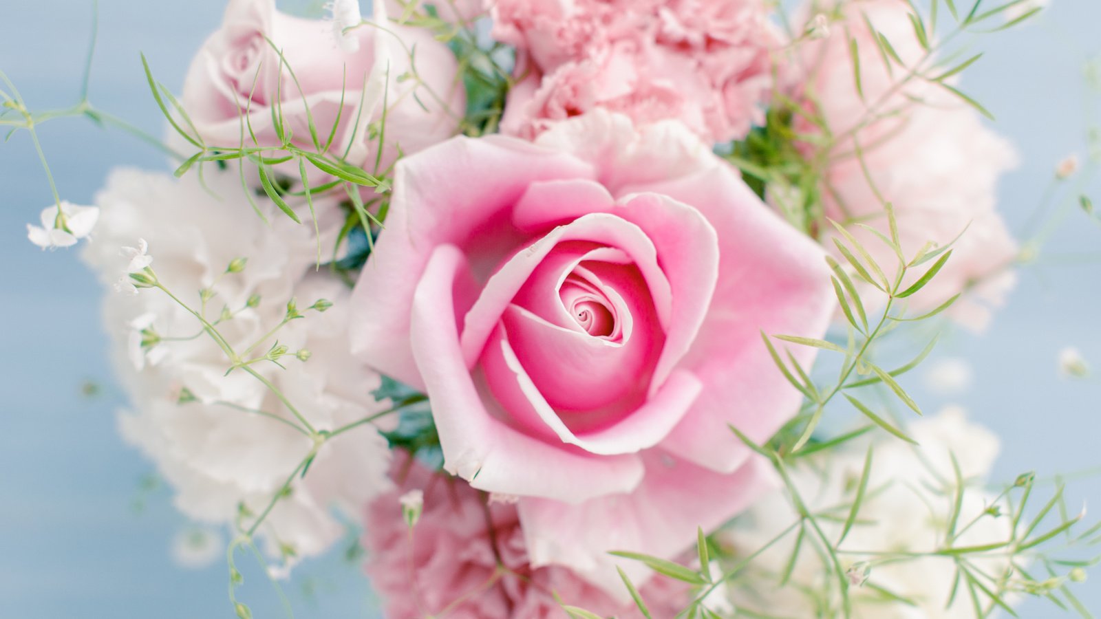 Обои цветы, розы, букет, гипсофила, flowers, roses, bouquet, gypsophila разрешение 6040x4000 Загрузить