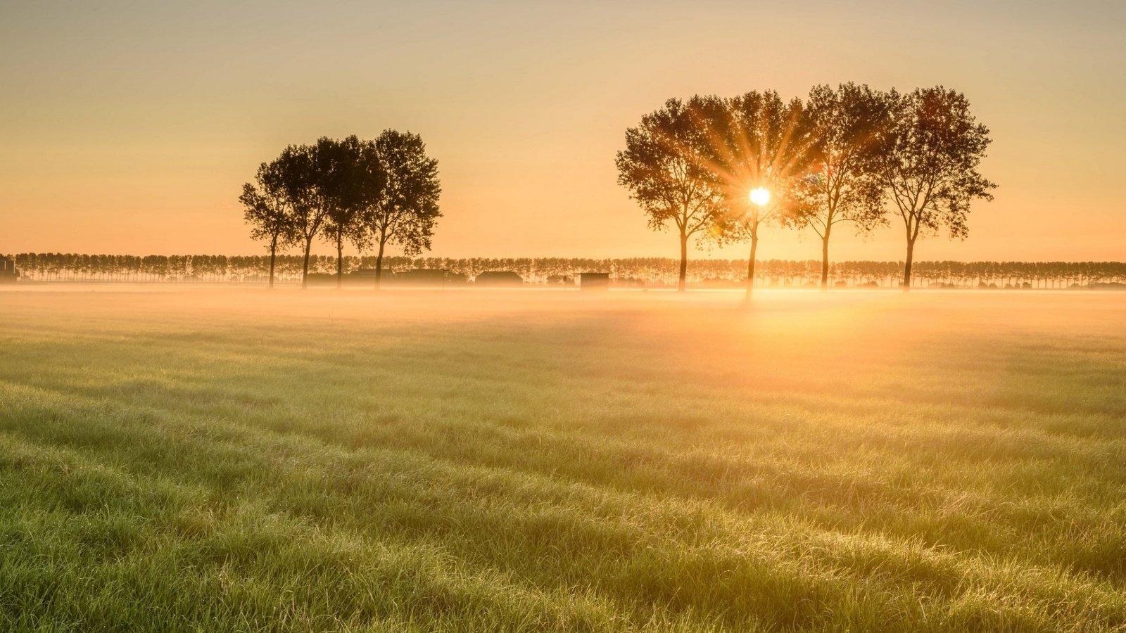 Обои пейзаж, утро, туман, поле, рассвет, landscape, morning, fog, field, dawn разрешение 1920x1200 Загрузить