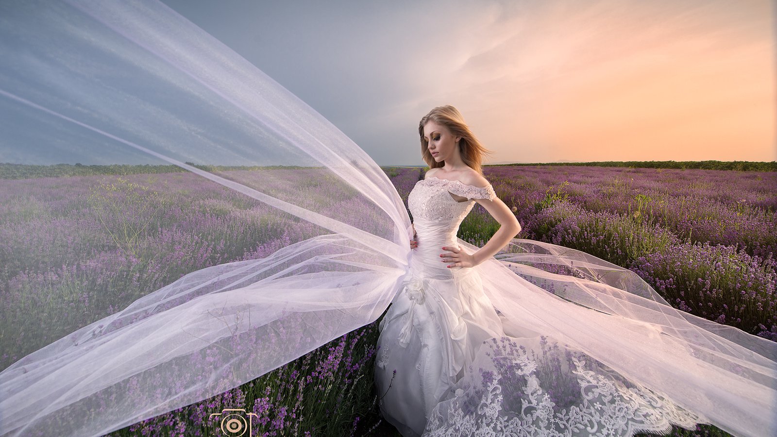 Обои цветы, белое платье, облака, невеста, девушка, minko minkov, поле, лаванда, взгляд, модель, лицо, flowers, white dress, clouds, the bride, girl, field, lavender, look, model, face разрешение 2048x1367 Загрузить