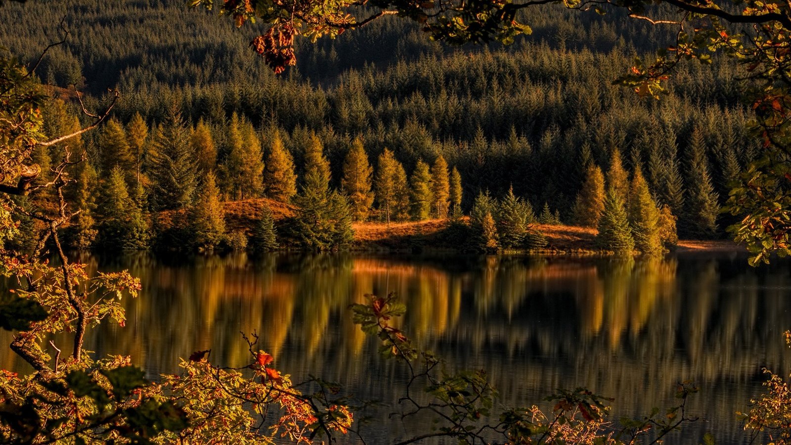 Обои деревья, achray forest, loch drunkie, озеро, лес, отражение, осень, шотландия, озеро дранки, троссачс, trees, lake, forest, reflection, autumn, scotland, lake shingles, trossachs разрешение 2160x1080 Загрузить