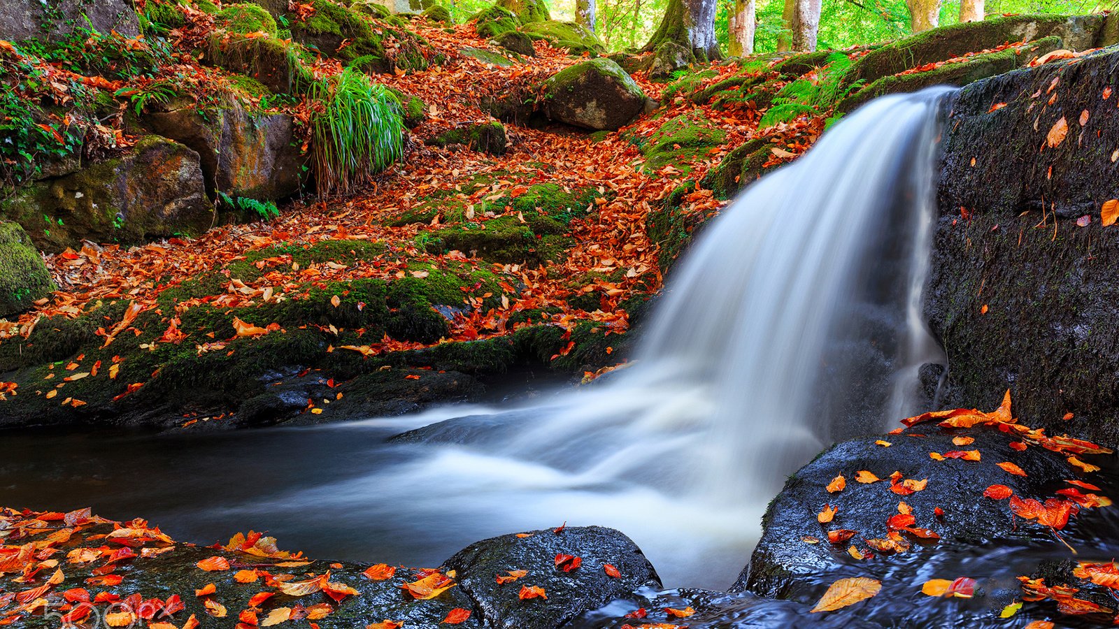 Обои река, природа, лес, листья, водопад, осень, frederick bancale, river, nature, forest, leaves, waterfall, autumn разрешение 1920x1200 Загрузить