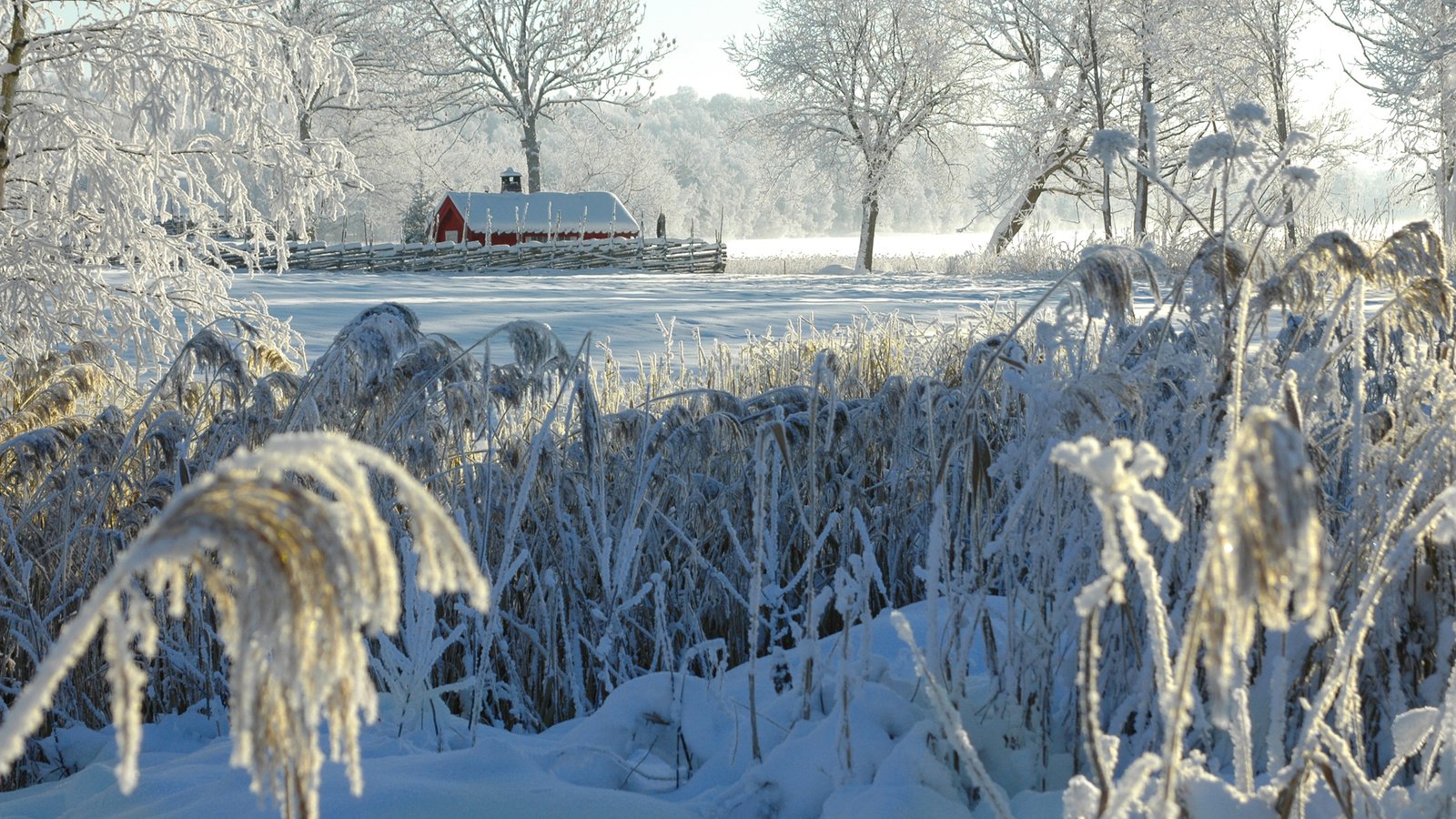 Обои деревья, снег, природа, зима, кусты, иней, деревня, домик, trees, snow, nature, winter, the bushes, frost, village, house разрешение 2880x1800 Загрузить