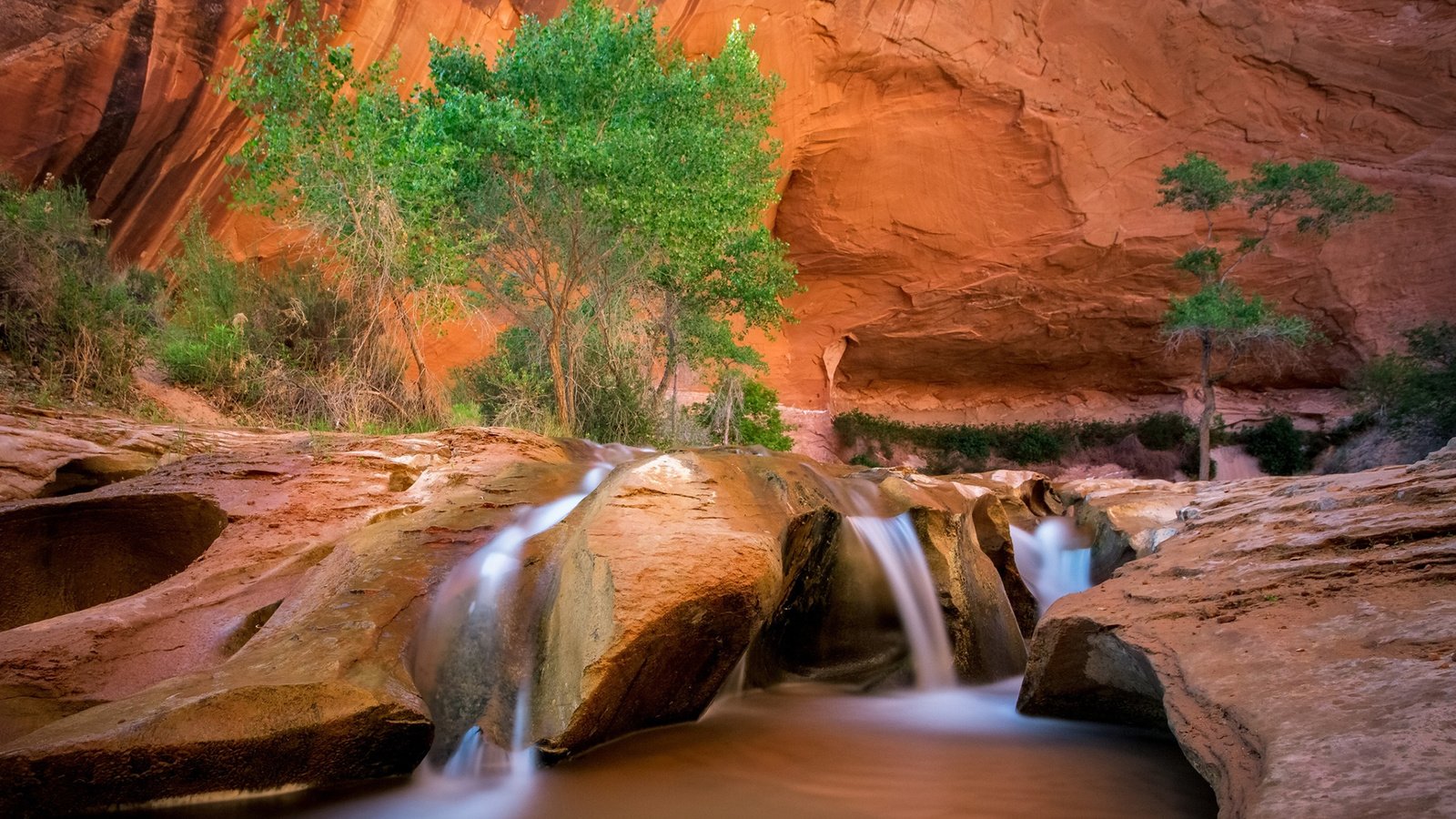 Обои река, скалы, пейзаж, водопад, каньон, david swindler, coyote gulch, эскаланте, river, rocks, landscape, waterfall, canyon, escalante разрешение 1920x1200 Загрузить