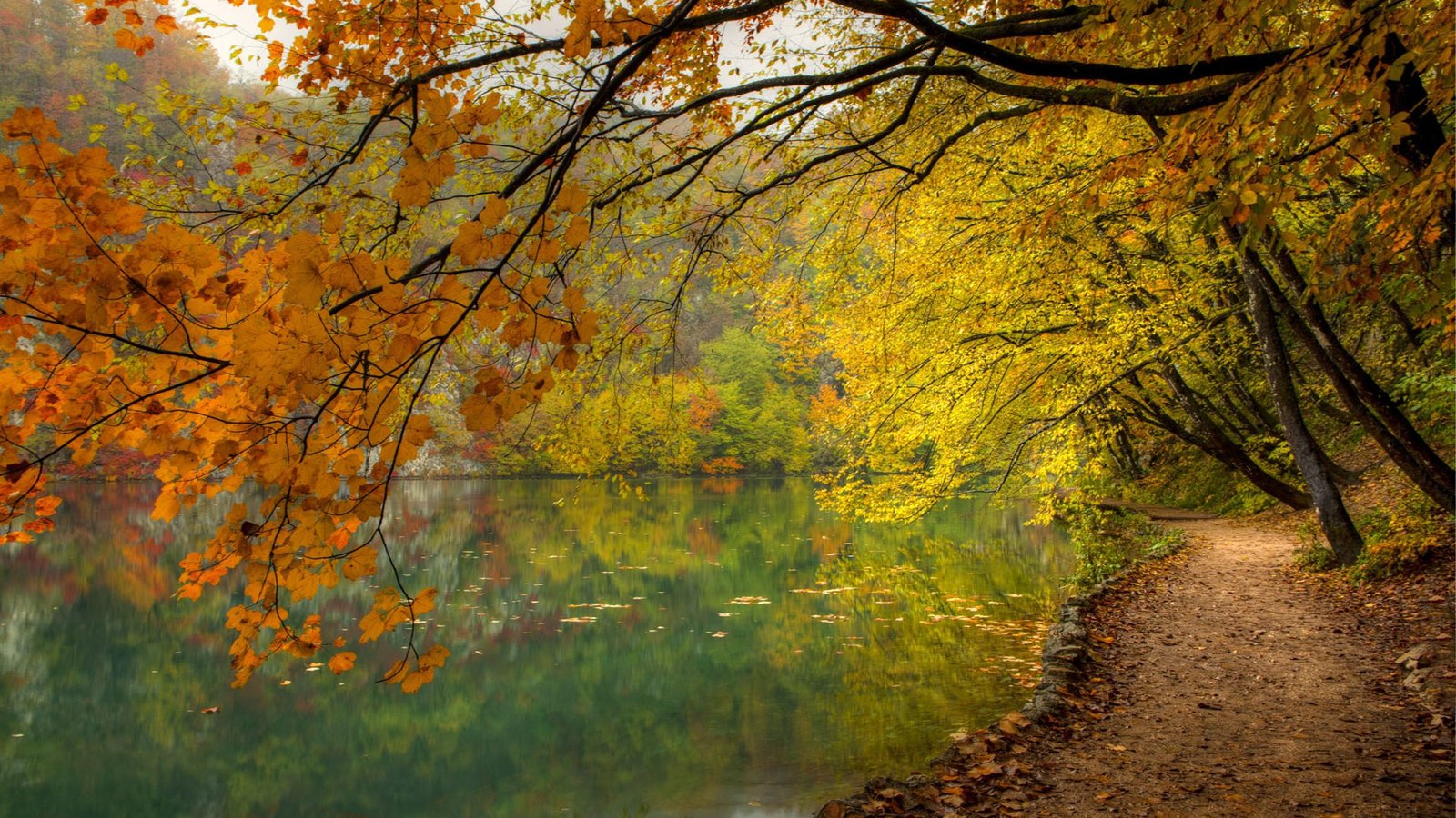 Обои озеро, природа, лес, осень, lake, nature, forest, autumn разрешение 1920x1200 Загрузить