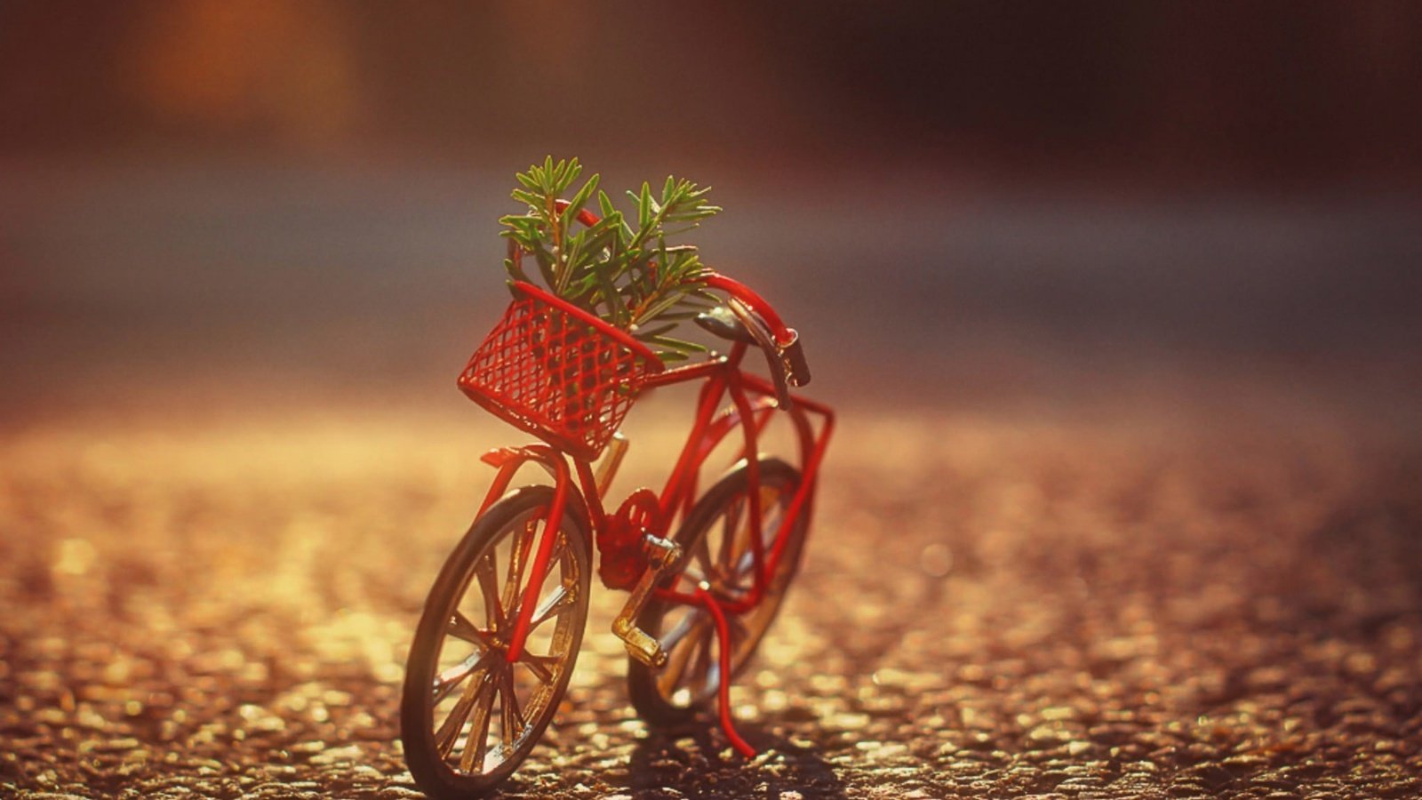 Обои корзина, растение, велосипед, фигурка, basket, plant, bike, figure разрешение 1920x1200 Загрузить