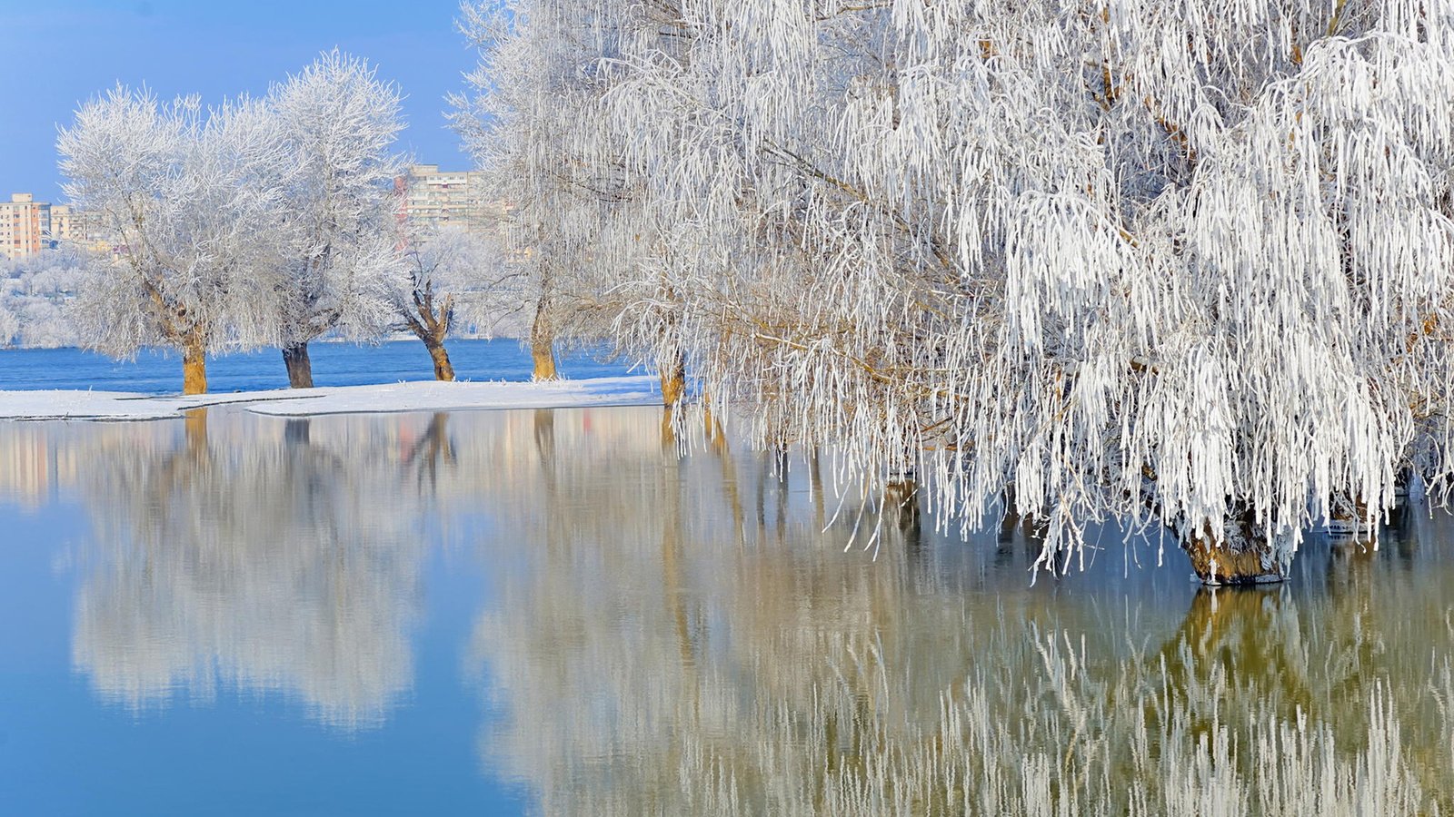 Обои деревья, ordache, озеро, природа, зима, отражение, пейзаж, иней, ивы, trees, lake, nature, winter, reflection, landscape, frost, willow разрешение 1920x1200 Загрузить