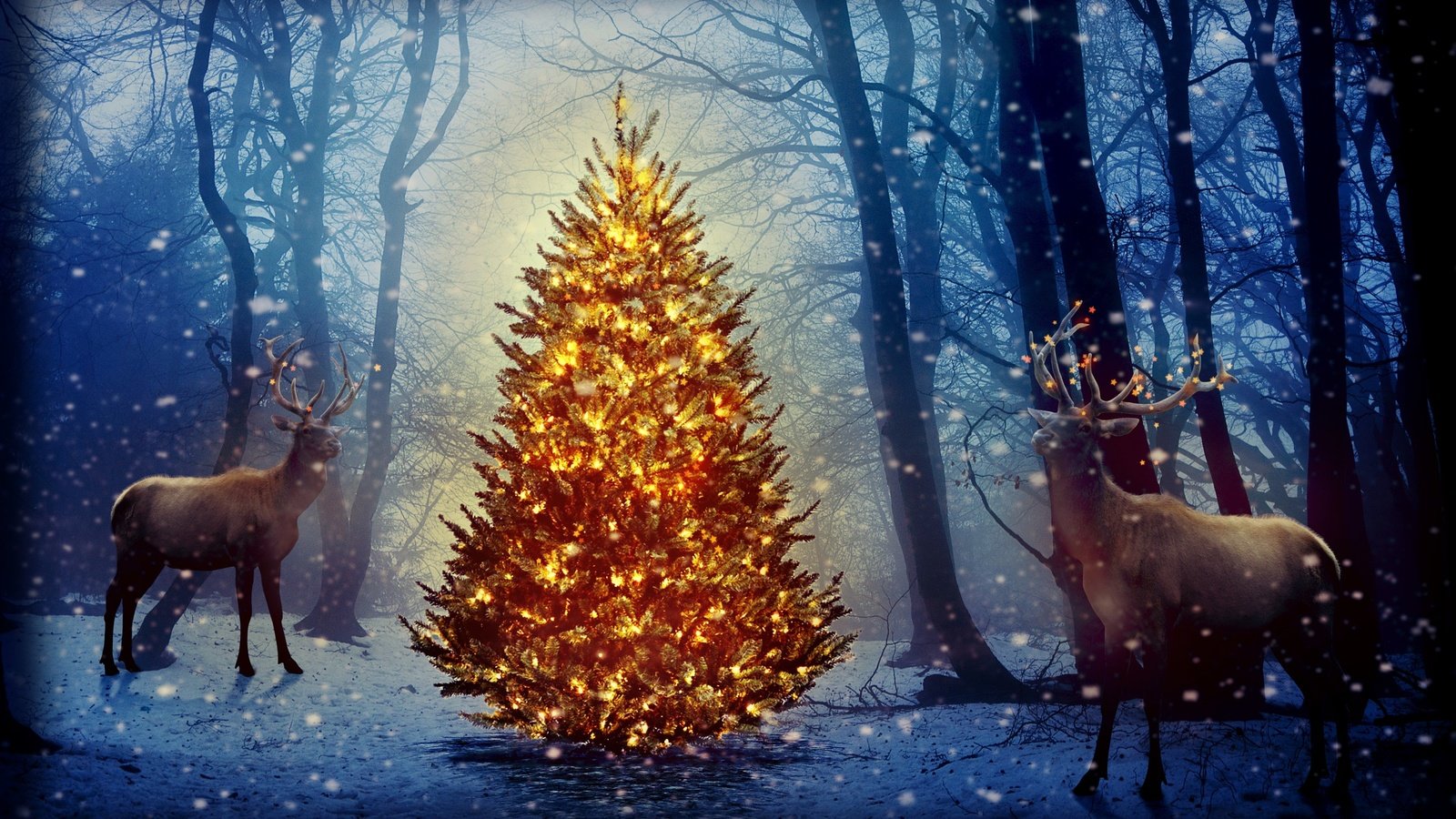 Обои новый год, елка, лес, олени, рождество, new year, tree, forest, deer, christmas разрешение 2880x1800 Загрузить