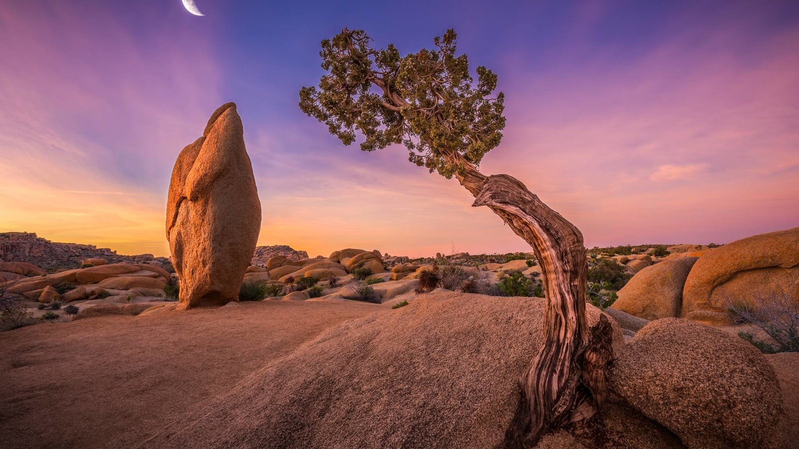 Обои небо, дерево, камни, луна, сша, калифорния, joshua tree national park, национальный парк джошуа-три, the sky, tree, stones, the moon, usa, ca, national park joshua tree разрешение 2048x1365 Загрузить