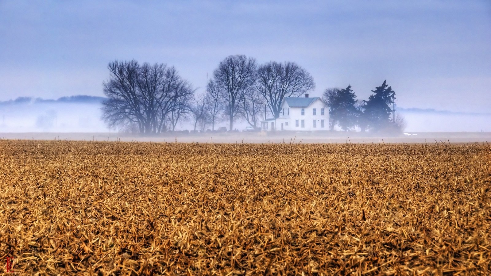 Обои небо, деревья, туман, поле, ферма, канзас, the sky, trees, fog, field, farm, kansas разрешение 3840x2160 Загрузить