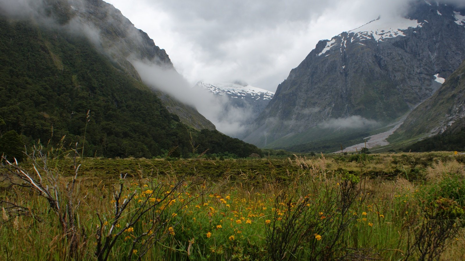 Обои горы, растения, пейзаж, туман, mountains, plants, landscape, fog разрешение 4592x3056 Загрузить
