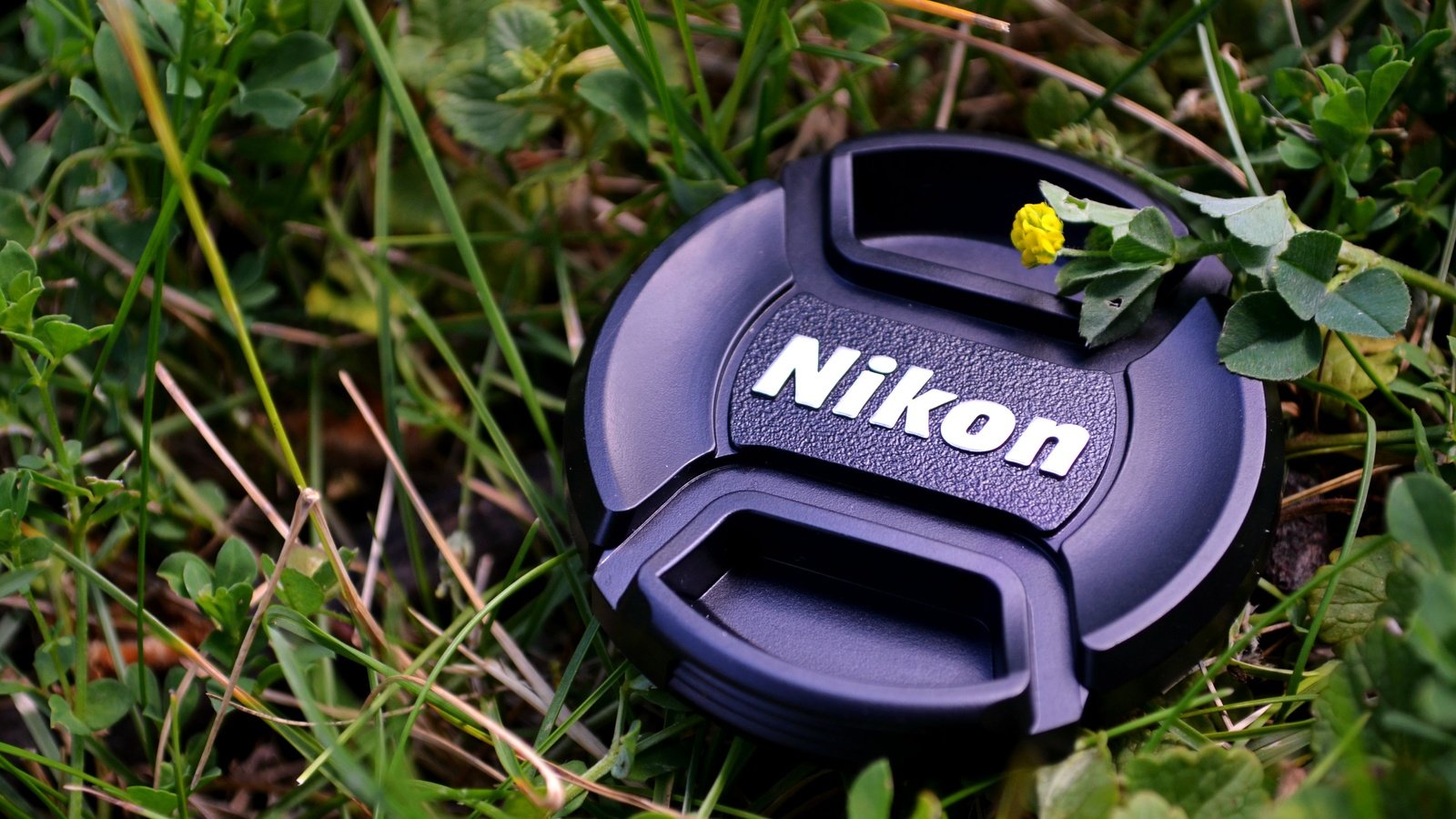 Обои трава, макро, цветок, камера, объектив, никон, крышка, grass, macro, flower, camera, lens, nikon, cover разрешение 3823x2593 Загрузить