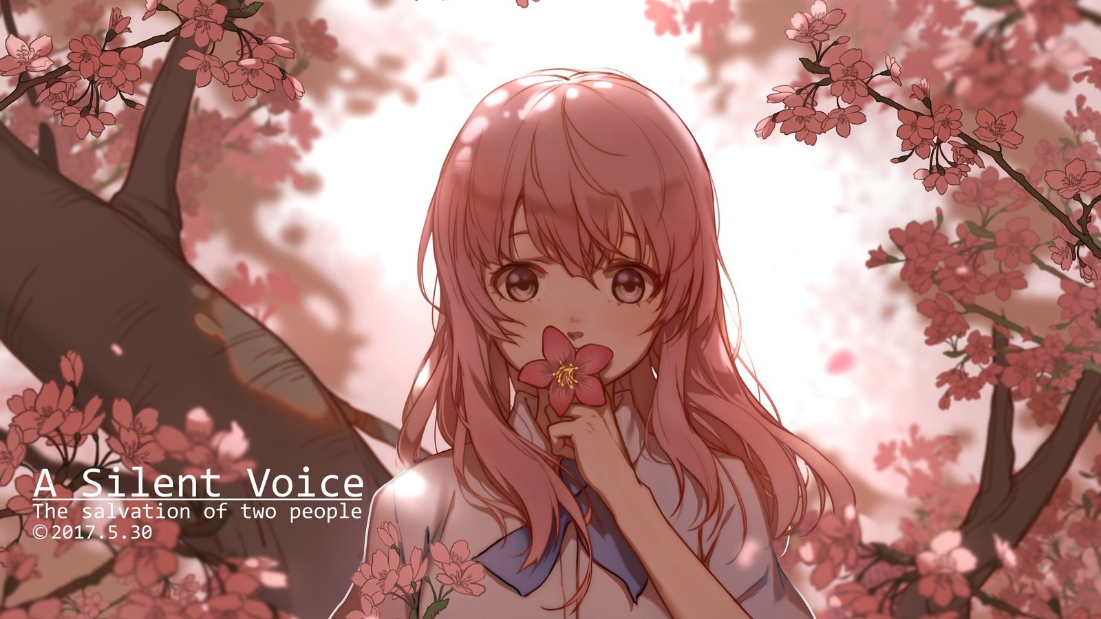 Обои девушка, взгляд, волосы, лицо, cherry blossom, розовые волосы, nishimiya shouko, koe no katachi, girl, look, hair, face, pink hair разрешение 4961x3508 Загрузить