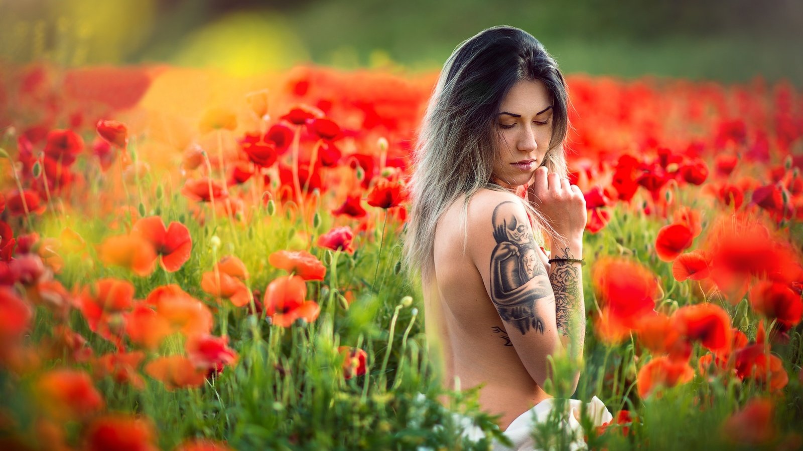 Обои цветы, девушка, настроение, маки, луг, тату, спина, боке, flowers, girl, mood, maki, meadow, tattoo, back, bokeh разрешение 2048x1367 Загрузить