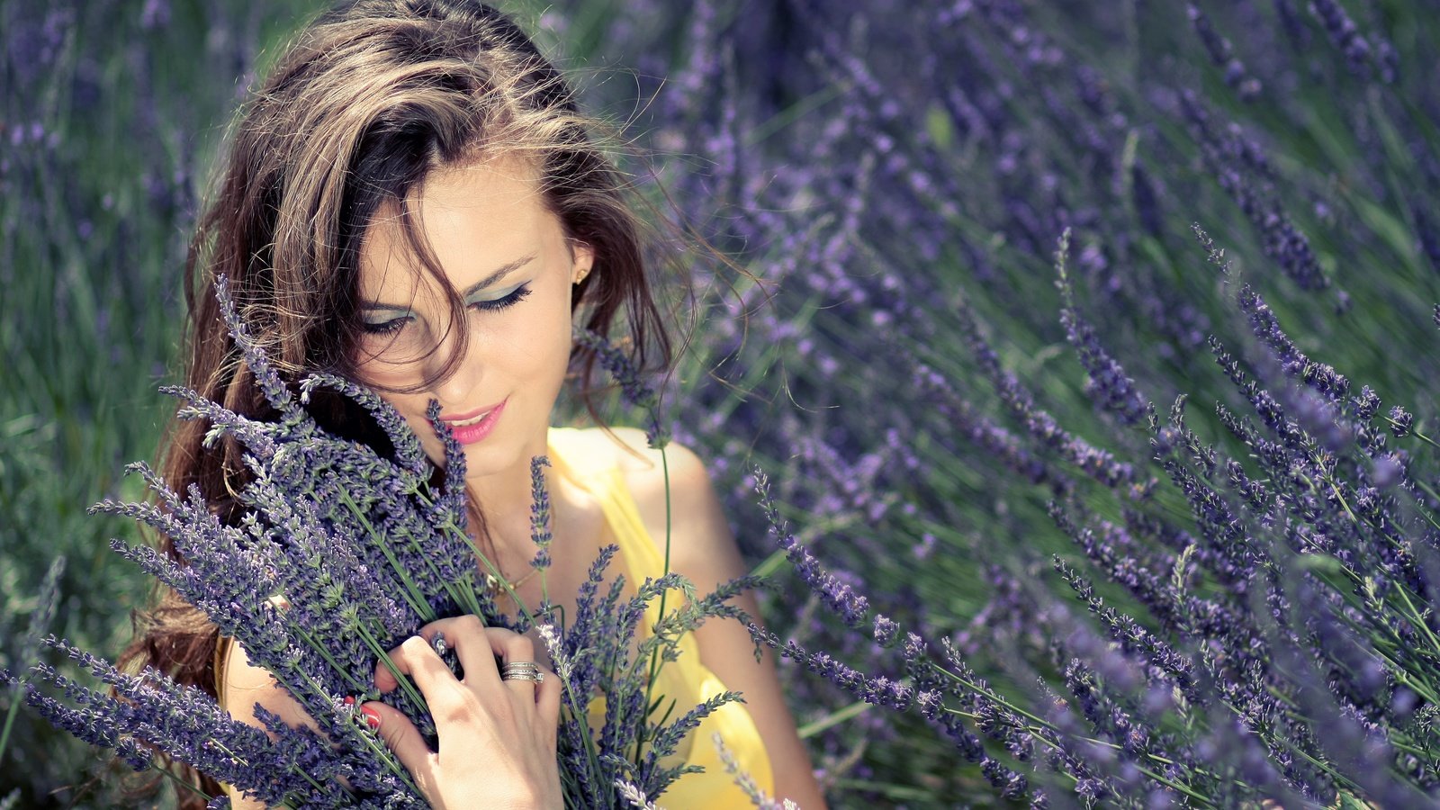 Обои цветы, девушка, лаванда, букет, flowers, girl, lavender, bouquet разрешение 4272x2848 Загрузить