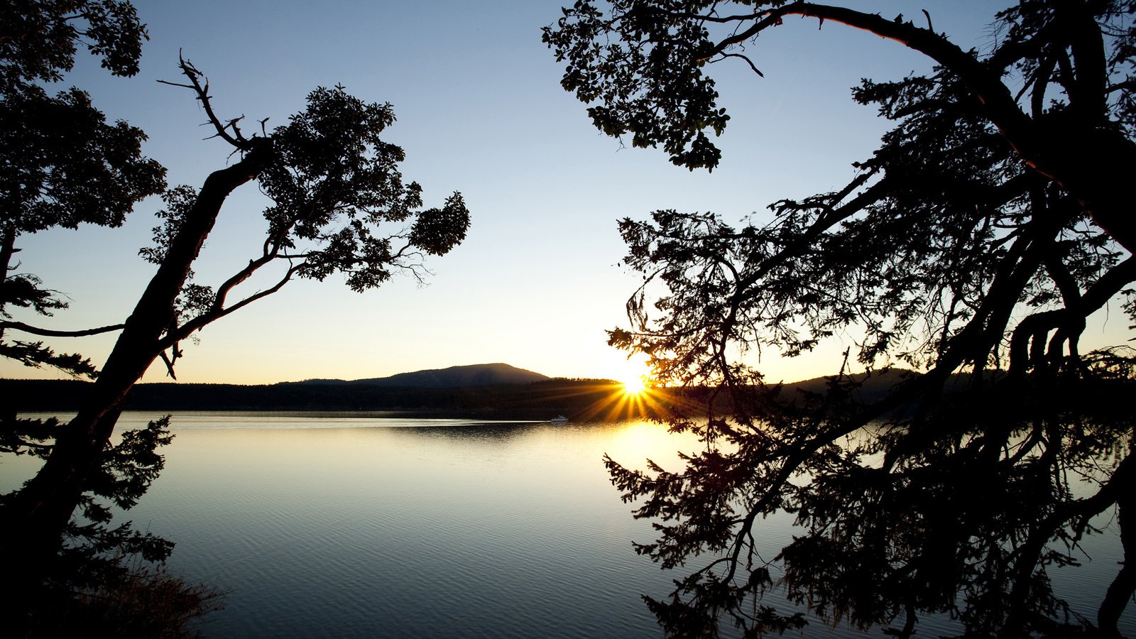 Обои деревья, озеро, горы, закат, ветки, водоем, даль, силуэты, trees, lake, mountains, sunset, branches, pond, dal, silhouettes разрешение 1920x1080 Загрузить